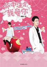 热播剧爱上琉璃苣女孩 原著小说命中注定我爱你