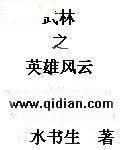 武林之英雄风云