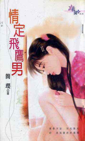情定飞鹰男
