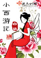 小西游记