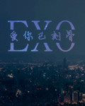 exo爱你已刻骨
