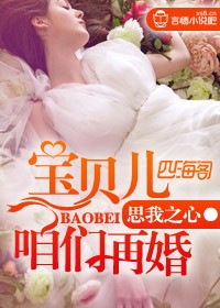 宝贝儿,咱们再婚