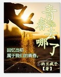 青春去哪了