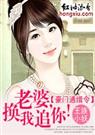 豪门通缉令老婆,换我追你！