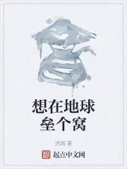 我就是个贼