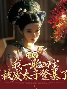 清穿：我一胎四宝,被废太子登基了