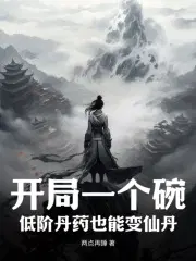开局一个碗,低阶丹药也能变仙丹