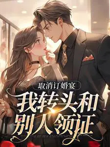 取消订婚宴,我转头和别人领证