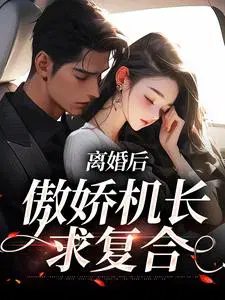 离婚后,傲娇机长求复合