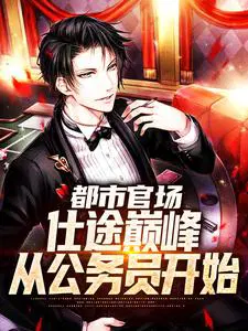 都市官场：仕途巅峰,从公务员开始