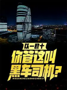 以一敌十,你管这叫黑车司机？