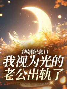 结婚纪念日,我视为光的老公出轨了