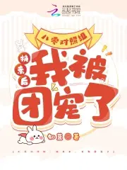 八零对照组：换亲后,我被团宠了