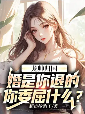 龙帅归国：婚是你退的,你委屈什么？