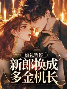 白月光婚约作废,机长趁机上位