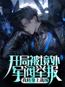 开局被境外军阀举报,我转身上战场