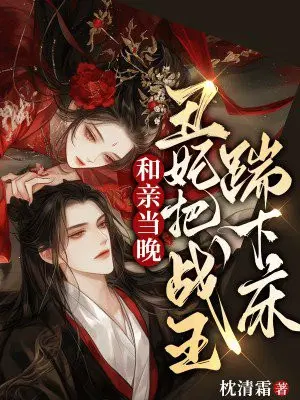 和亲当晚,丑妃把战王踹下床