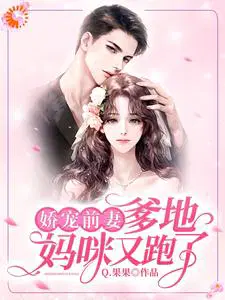 娇宠前妻：爹地,妈咪又跑了