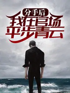 分手后,我在官场平步青云