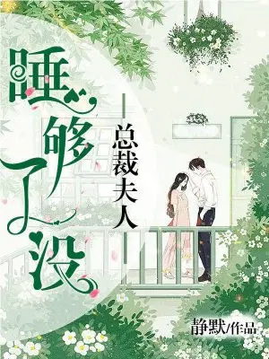 总裁夫人,睡够了没