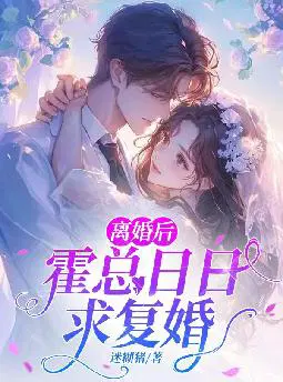 离婚后,霍总日日求复婚