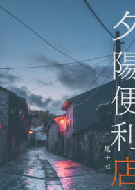 夕阳便利店_夕阳便利店作者:尾十七