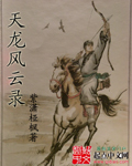 天龙风云录