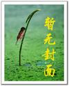欲与天公试比高