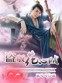 盗版花心贼