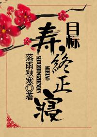 目标,寿终正寝