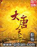 大唐天下