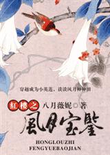 红楼之风月宝鉴