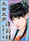 夫君太多谁的错 西子情